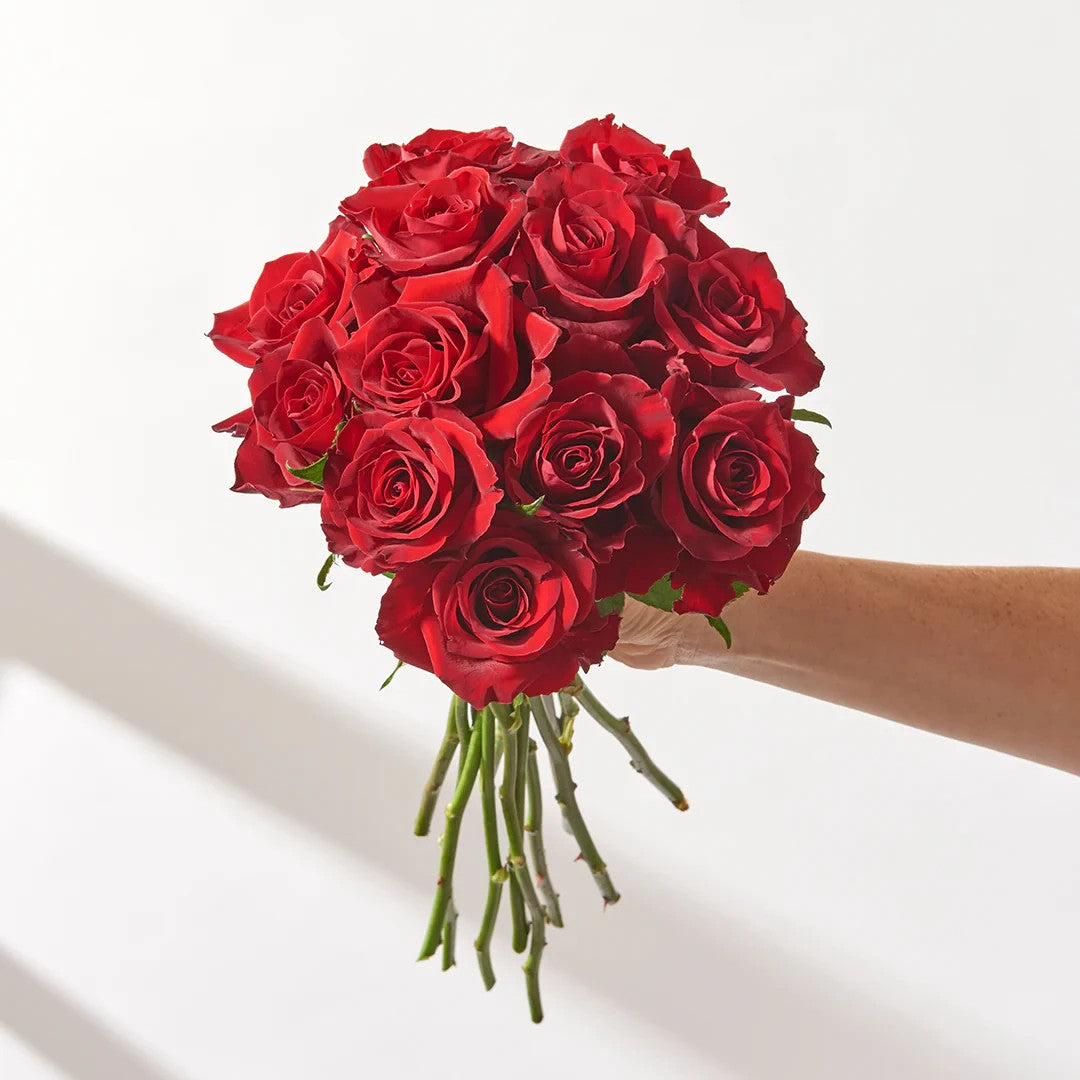 Bouquet of Fresh Red Roses - 3 Sizes Available - Free Delivery